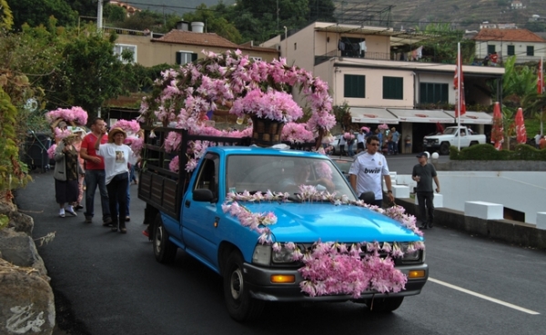 Cortejo das A&ccedil;ucenas