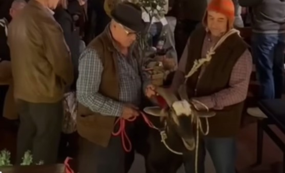 “Romagem do Cabrito: Um Natal de Tradição Madeirense” (com vídeo)