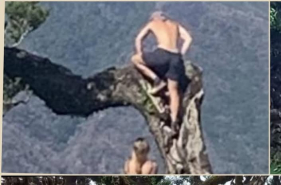 Cidad&atilde;os escalam &aacute;rvores no Fanal