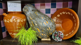 Qual o peso desta ab&oacute;bora gigante?
