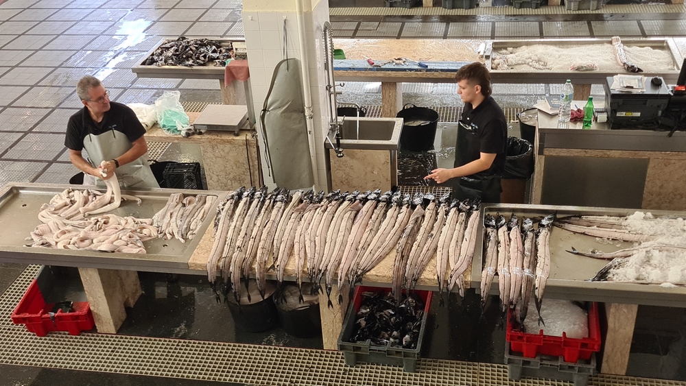 Peixe-Espada Preto no Mercado dos Lavradores. Espreite o vídeo.