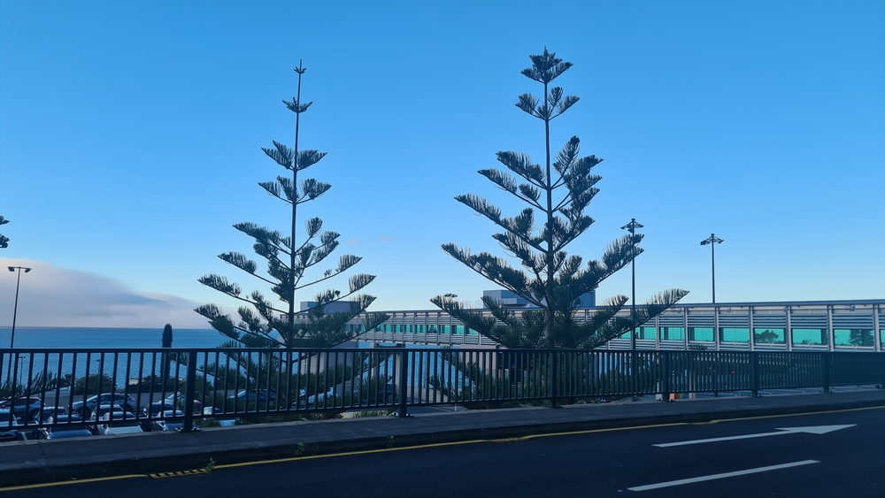 Tempo mais fresco no início da semana, na Madeira