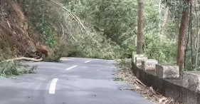 Vento forte provocou 62 ocorr&ecirc;ncias na Madeira