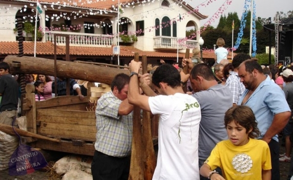 Festa do P&ecirc;ro