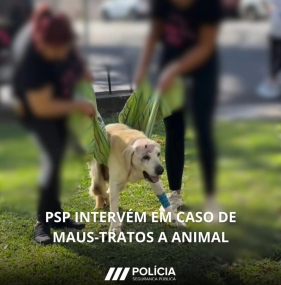 PSP apela &agrave; den&uacute;ncia de maus-tratos a animais