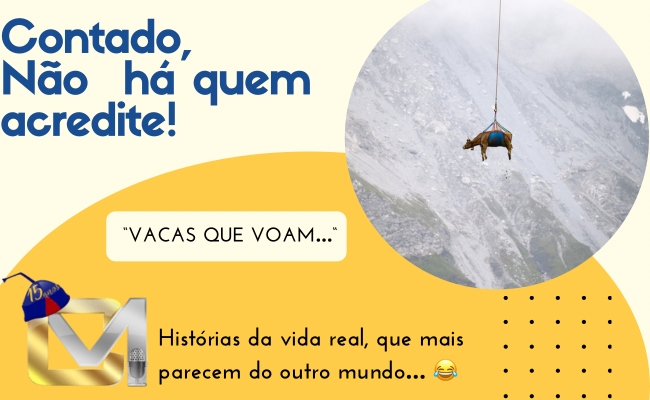 Contado, não há quem acredite - Vacas que voam...