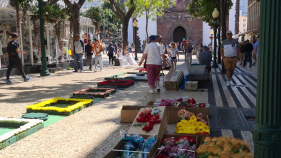 Constru&ccedil;&atilde;o de tapetes de flores. Espreite o v&iacute;deo.