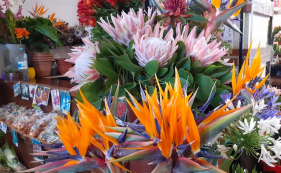 Flores no Mercado dos Lavradores (com v&iacute;deo)