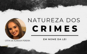 Em Nome da Lei: Natureza dos crimes