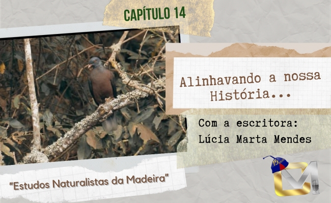 Alinhavando a nossa história - Estudos naturalistas