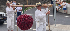 Cortejo da Cereja animou Jardim da Serra (com v&iacute;deo)