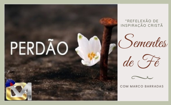 Sementes de Fé - Perdão